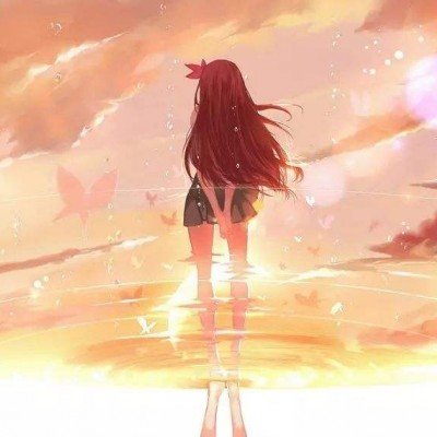 小猫凭松弛睡姿出圈 游客排队打卡